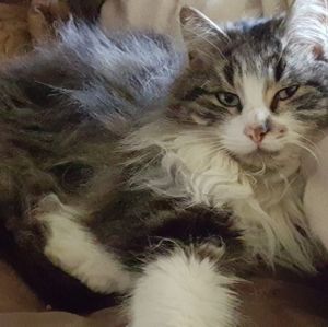 Meet your Posher, Naomi